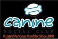 Canine Social Club